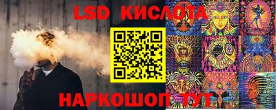 индика Тайшет