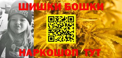 индика Тайшет