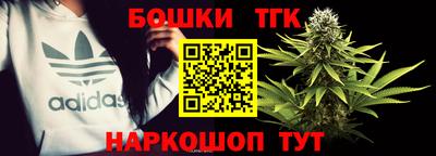 индика Тайшет