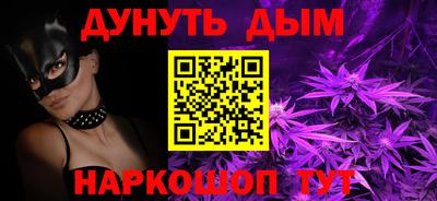 индика Тайшет