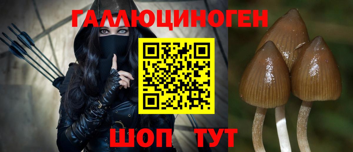 где купить   Галлюциногенные грибы мухоморы  Вход с VPN  Выкса 